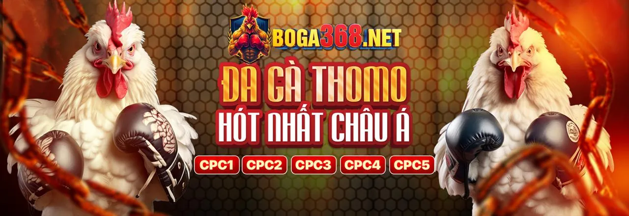 Đá gà trực tuyến kịch tính tại rg8369 app